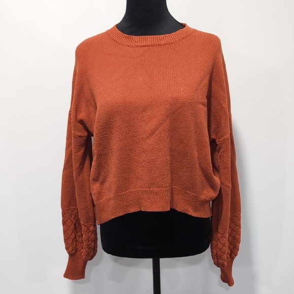 Rust Textured Balloon Sleeve Sweater - Picture 1 of 7